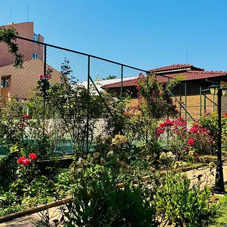 Neva מלון קיטן